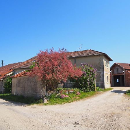Le Gite Du Haut Châtillon-la-Palud المظهر الخارجي الصورة
