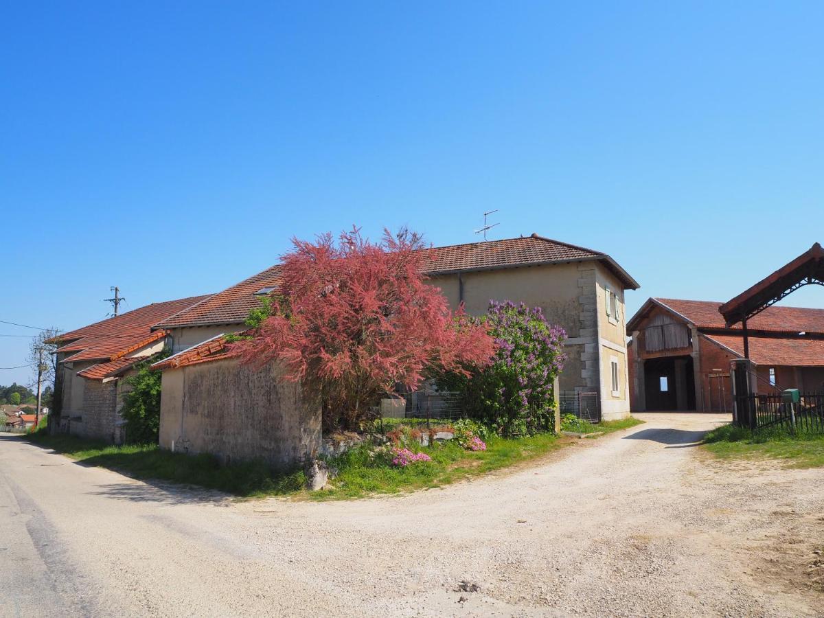 Le Gite Du Haut Châtillon-la-Palud المظهر الخارجي الصورة